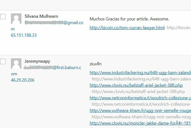 Skonfiguruj swojego bloga za pomocą WordPress: The Ultimate Guide spam