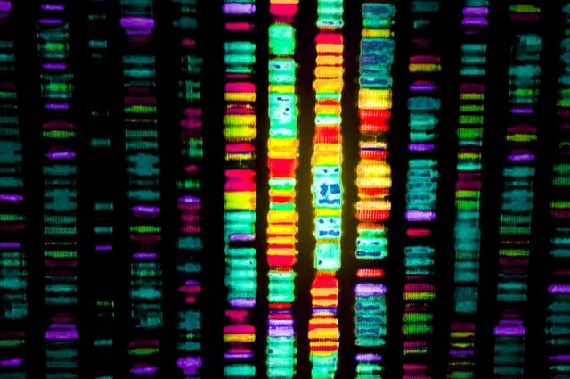 sekwencja dna