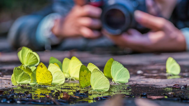 fotografia-powody-perspektywa