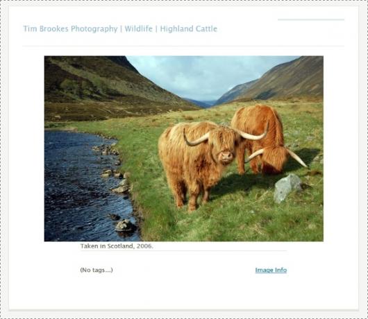 Zenphoto - potężny silnik Photoblog do przeglądania zdjęć na twojej stronie internetowej