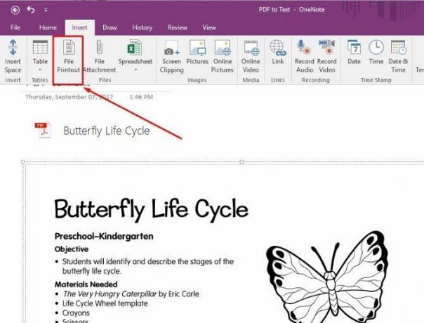 onenote optyczne rozpoznawanie znaków