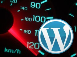 szybkie publikowanie Wordpress