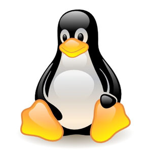 polecenia linux