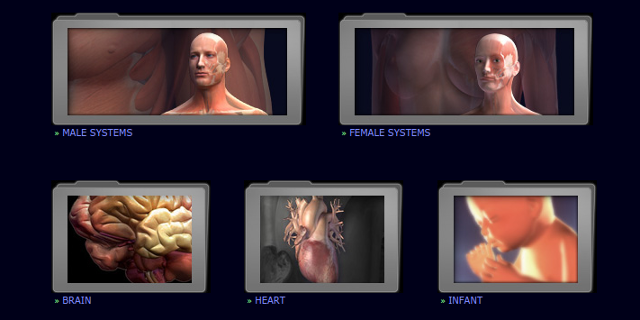 3d-anatomia-modele-3dscience