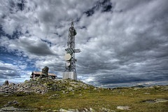 Jak przetrwać w dziczy przy użyciu masztu do telefonu komórkowego