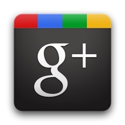 przewodnik google plus