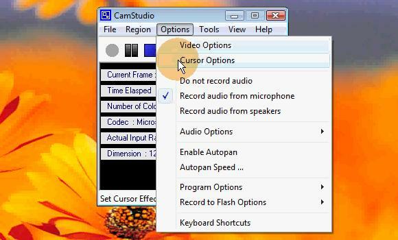 camstudio_cursor