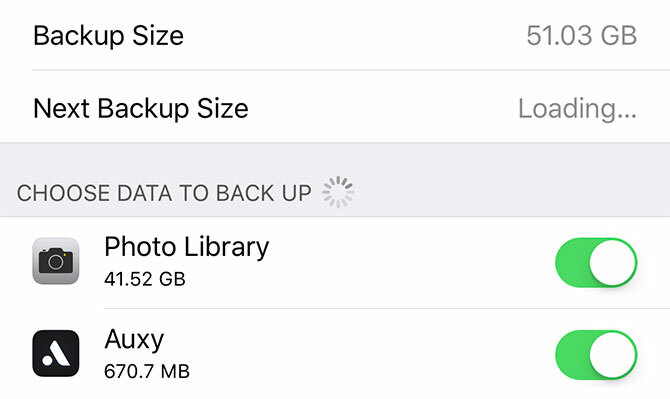 wykonać kopię zapasową iPhone'a - elementy iCloud Backup