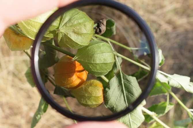 wskazówki fotograficzne - soczewka polaryzacyjna