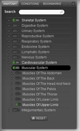 anatomia ludzkiego ciała