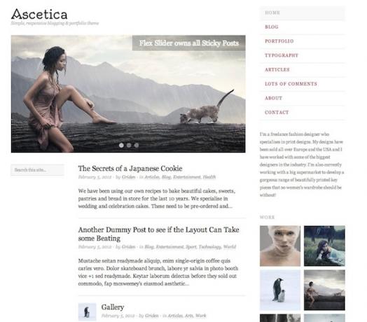 WordPress Porfolio