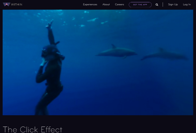 Zanurz się pod wodą, aby zobaczyć, jak delfiny i wieloryby komunikują się w filmie krótkometrażowym The Click Effect 
