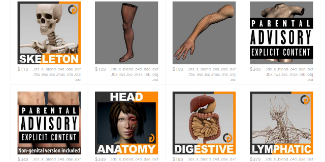 3d-anatomia-modele-cgstudio