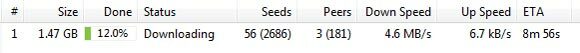 jak przyspieszyć pobieranie torrentów