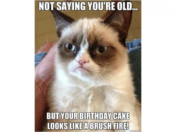 Urodzinowy mem Grumpy Cat